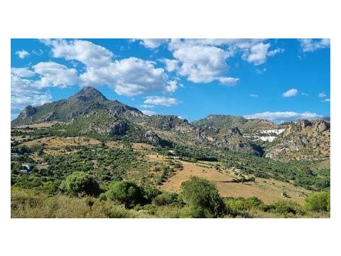 Wohngrundstück kaufen in Casares, 50.000 m² Grundstück