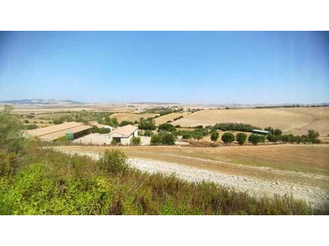 Haus kaufen in Arcos de la Frontera, 487.000 m² Grundstück, 350 m² Wohnfläche, 8 Zimmer