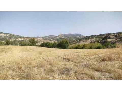 2449 Andalusien, provinz Cadiz, Olvera, finca mit vielen möglichkeiten zu verkaufen