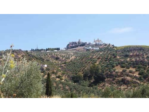 2449 Andalusien, provinz Cadiz, Olvera, finca mit vielen möglichkeiten zu verkaufen