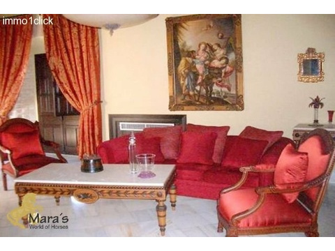 Hotel kaufen in Carmona, 1.000 m² Gastrofläche