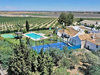 Haus kaufen in Las Cabezas de San Juan, 10.000 m² Grundstück, 2.100 m² Wohnfläche, 7 Zimmer