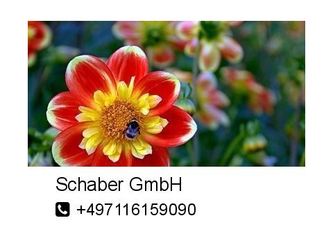 Sonstiges kaufen in Böblingen
