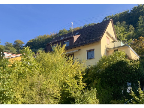 Mehrfamilienhaus kaufen in Heidelberg
