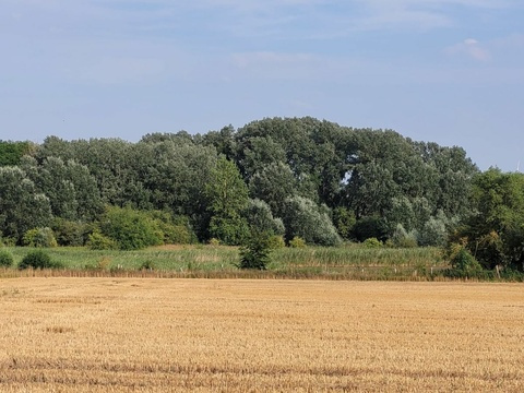 Sonstiges kaufen in Prenzlau