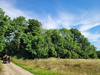 Sonstige Landwirtschaftsimmobilie kaufen in Schwedt/Oder