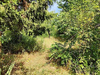 Land Forstwirschaft kaufen in Werder (Havel), 1.432 m² Grundstück