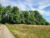 Sonstige Landwirtschaftsimmobilie kaufen in Schwedt/Oder