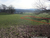 Land Forstwirschaft mieten, pachten in Diemelstadt, 1.734 m² Grundstück