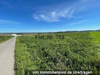 Land Forstwirschaft kaufen in Altensteig, 32.720 m² Grundstück
