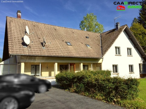 Mehrfamilienhaus kaufen in Le Thillot, 21.300 m² Grundstück, 300 m² Wohnfläche, 12 Zimmer