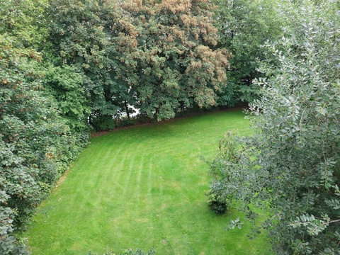 Dachgeschosswohnung mieten in Datteln, mit Stellplatz, 47 m² Wohnfläche, 1 Zimmer
