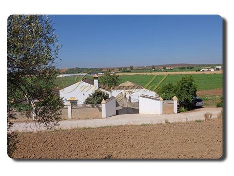 Haus kaufen in Arcos de la Frontera, 60.000 m² Grundstück, 300 m² Wohnfläche, 8 Zimmer