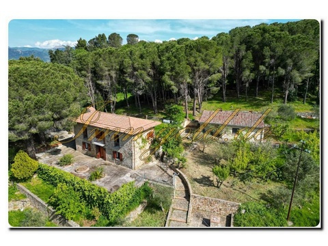 Haus kaufen in Castelbuono, 6.000 m² Grundstück, 218 m² Wohnfläche, 14 Zimmer