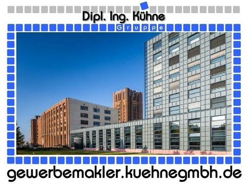 Bürofläche mieten, pachten in Berlin, mit Stellplatz, 1.476,8 m² Bürofläche, 2 Zimmer