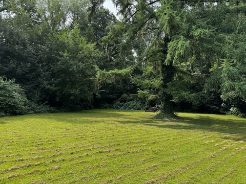 Wohngrundstück kaufen in Bochum, 5.535 m² Grundstück