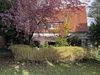 Einfamilienhaus mieten in Lemgo, 600 m² Grundstück, 150 m² Wohnfläche, 5 Zimmer