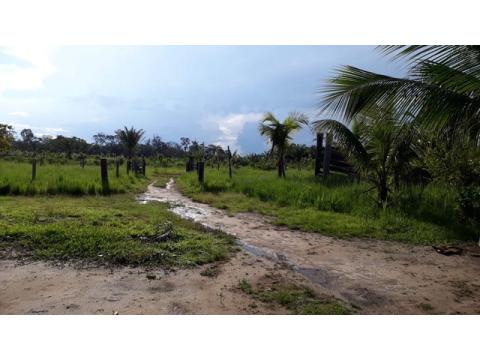 Land Forstwirschaft kaufen in Manaus, 500.000 m² Grundstück