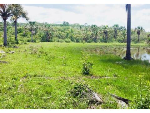 Land Forstwirschaft kaufen, 10.000.000 m² Grundstück