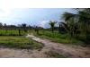 Land Forstwirschaft kaufen in Manaus, 500.000 m² Grundstück