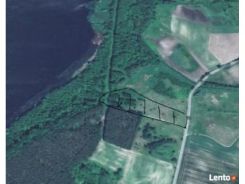 Gemischtes Grundstück kaufen in Dąbrowa, 16.100 m² Grundstück