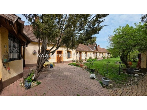 Mehrfamilienhaus kaufen, 4.200 m² Grundstück, 370 m² Wohnfläche, 10 Zimmer