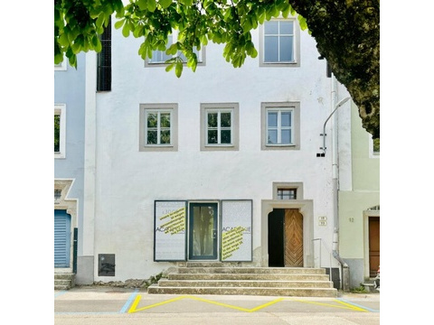 Mehrfamilienhaus kaufen in Steyr