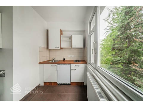 Wohnung kaufen in Wien Rudolfsheim-Fünfhaus, 39 m² Wohnfläche, 1 Zimmer
