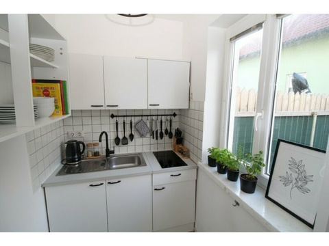 Etagenwohnung mieten in Seyring, 33 m² Wohnfläche, 1 Zimmer
