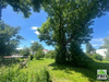 Einfamilienhaus kaufen in Traiskirchen, 3.770 m² Grundstück, 600 m² Wohnfläche