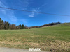 Einfamilienhaus kaufen in Fötschach, 66.182 m² Grundstück, 120 m² Wohnfläche