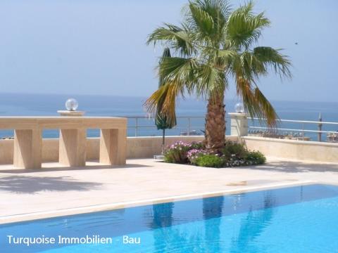 Bild...