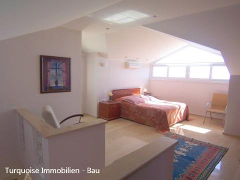 Bild...