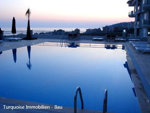 Bild...