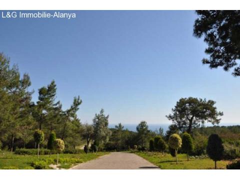 Aussenanlage- Immobilie-villa-alanya-avsallar