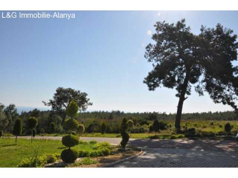 Aussenanlage- Immobilie-villa-alanya-avsallar