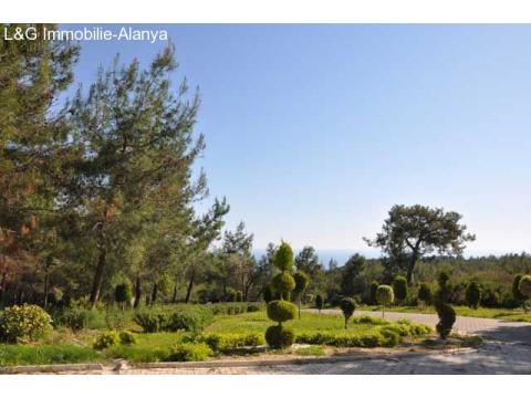 Aussenanlage- Immobilie-villa-alanya-avsallar