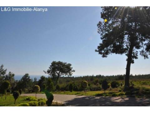Aussenanlage- Immobilie-villa-alanya-avsallar