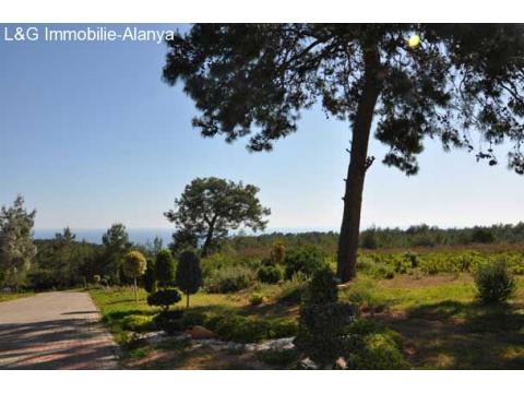 Aussenanlage- Immobilie-villa-alanya-avsallar