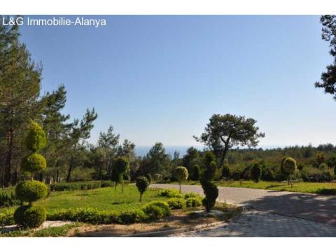 Aussenanlage- Immobilie-villa-alanya-avsallar