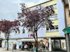 Mehrfamilienhaus kaufen in Kamen, 333 m² Grundstück, 731 m² Wohnfläche, 20 Zimmer