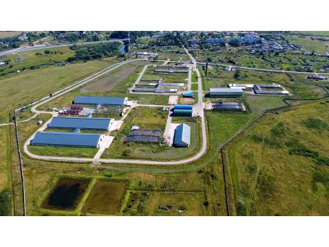 Land Forstwirschaft kaufen, 8.200 m² Grundstück
