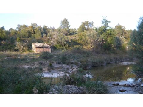 Land Forstwirschaft kaufen in Beceite, 7.300 m² Grundstück