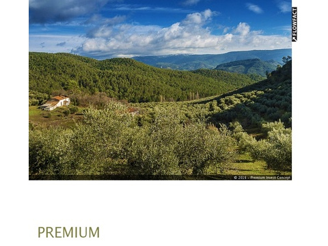 Sonstiges kaufen in Jaén, 4.820.000 m² Grundstück, 600 m² Wohnfläche, 12 Zimmer