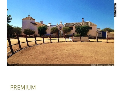 Hotel kaufen in Carmona