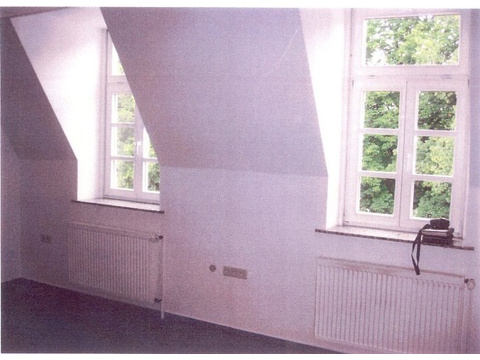 Mansardenfenster