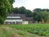 Zinshaus, Renditeobjekt kaufen in Peine