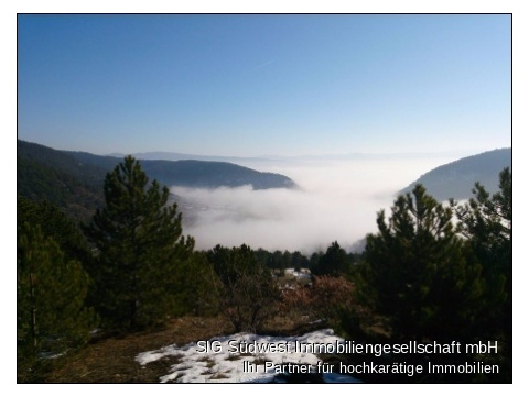 Landschaft