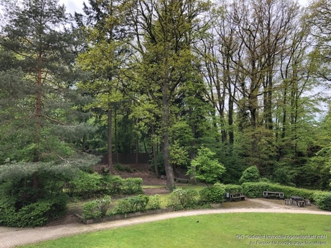 Park