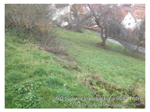 Wohngrundstück kaufen in Altensteig, 1.224 m² Grundstück